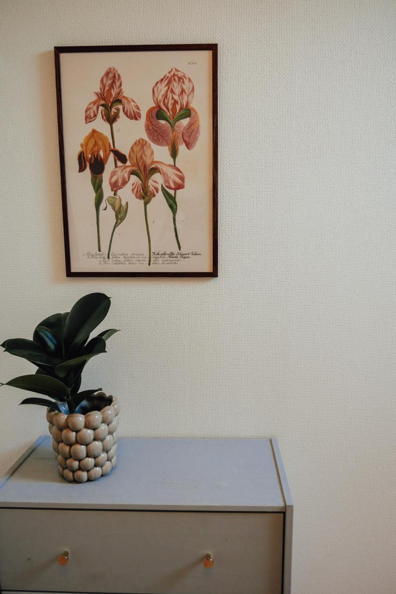 Aespoegarden Bed & Breakfast Klagstorp Eksteriør billede